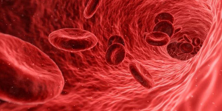 nanomateriali